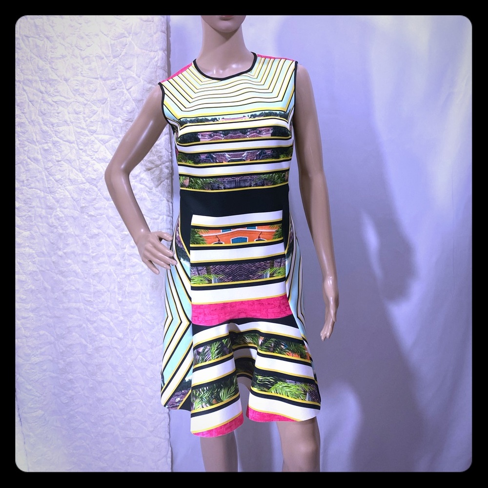 Clover Canyon fit and flare dress fits 8/10
